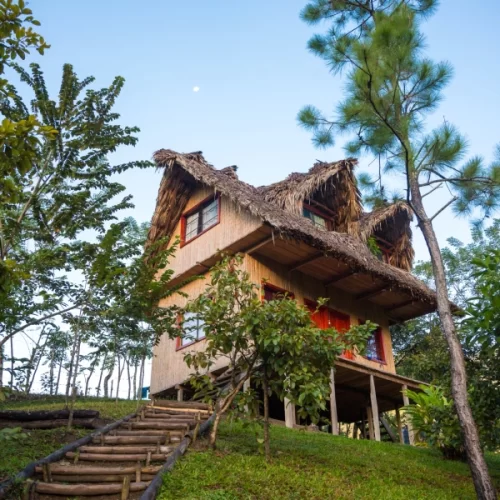 unsplash_ptr3ijt3w3g